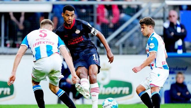 没有盲目追 没有盲目追